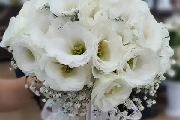 papatyam flowers - Resim 16