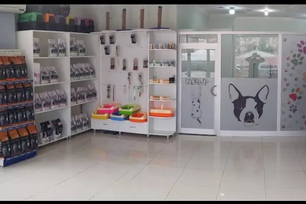PET VETERİNER KLİNİĞİ - Resim 5