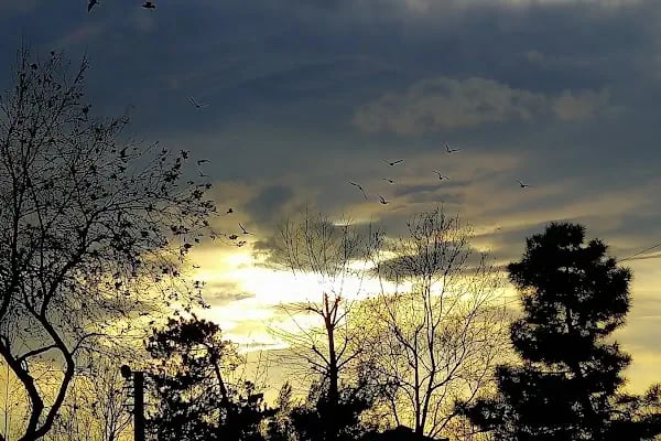 Kent Park - Resim 17