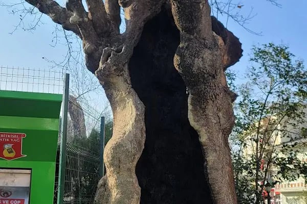 Gürsu Belediyesi Celal Bey Parkı - Resim 10