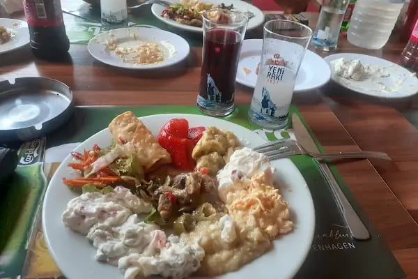 Hancı Meyhane Bursa - Resim 4