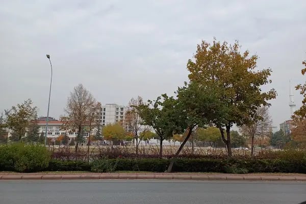 Özel Akademi Meram Hastanesi - Resim 15