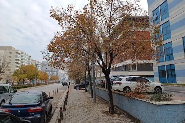 Özel Akademi Meram Hastanesi - Resim 9