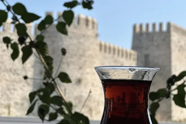 Şato ocakbaşı restaurant - Resim 9