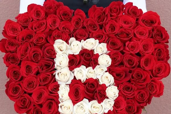 Yasmin Çiçekçi - Resim 13