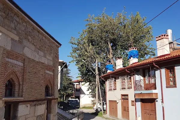 Seyit Mahmut Hayrani Anadolu Lisesi - Resim 3