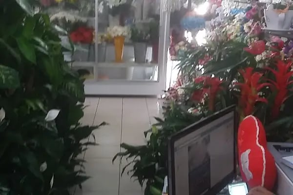 Muğla Nergis Çiçekçilik - Resim 4