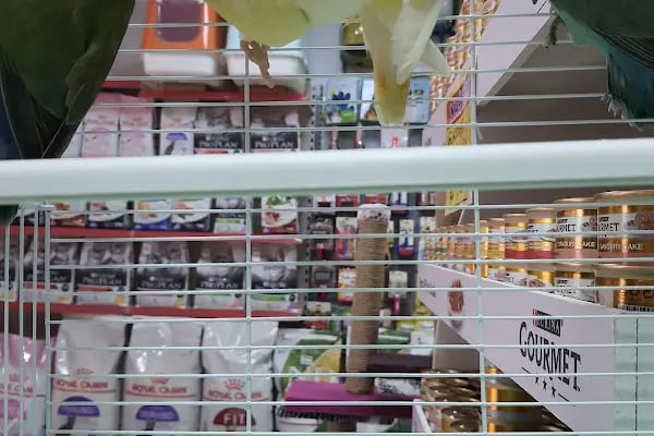 Emir Akvaryum Pet Shop - Resim 3