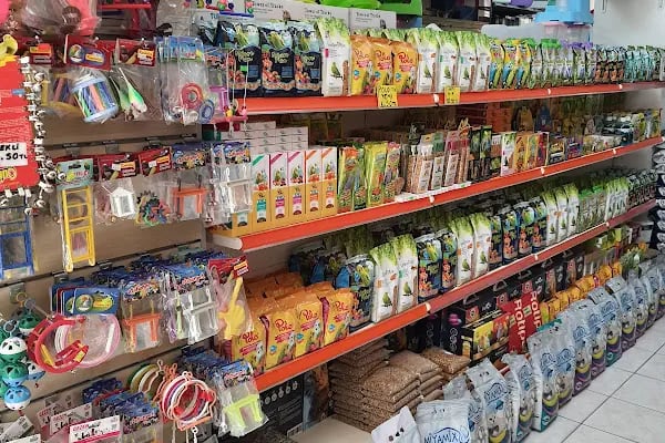 Emir Akvaryum Pet Shop - Resim 7