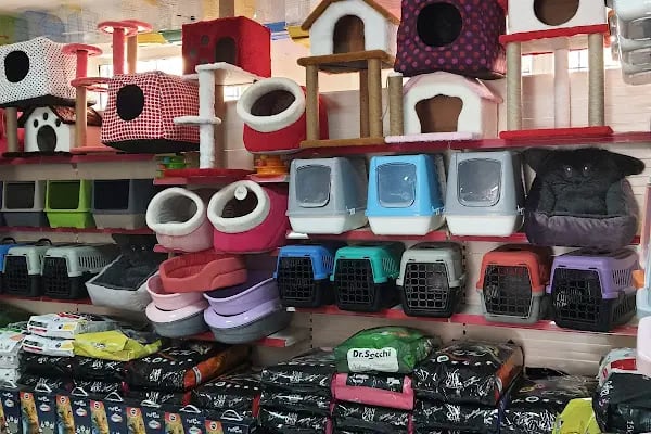 Emir Akvaryum Pet Shop - Resim 15