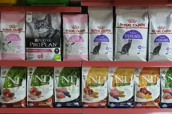 Emir Akvaryum Pet Shop - Resim 18