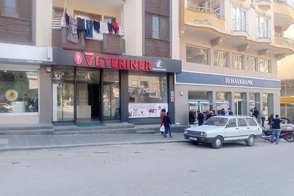 Yaşam pet veteriner muayenehanesi - Resim 8