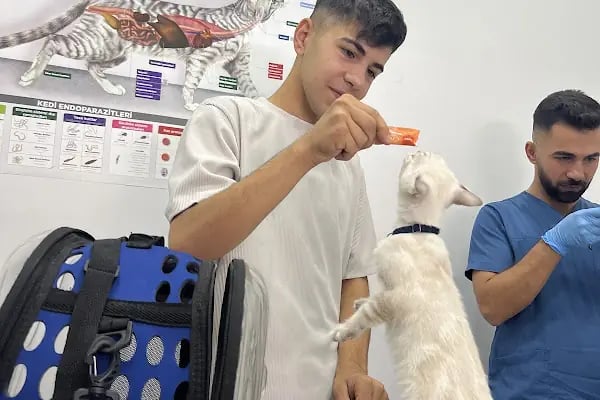 Yaşam pet veteriner muayenehanesi - Resim 4