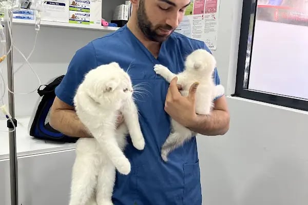 Yaşam pet veteriner muayenehanesi - Resim 7