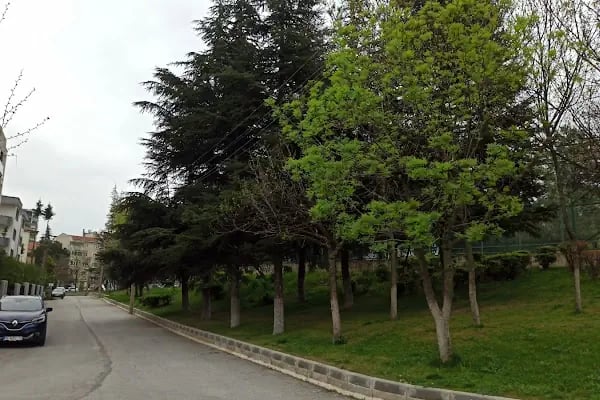 Dorapark - Resim 3