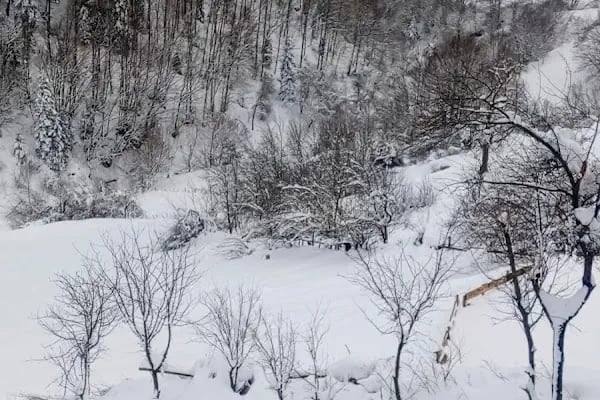 Alaçam Şirinköy Dürtmen Yaylası - Resim 1