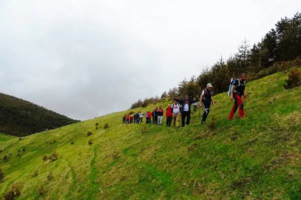 Alaçam Şirinköy Dürtmen Yaylası - Resim 5