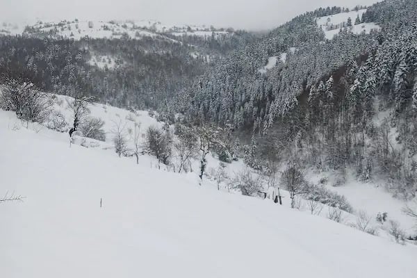 Alaçam Şirinköy Dürtmen Yaylası - Resim 7
