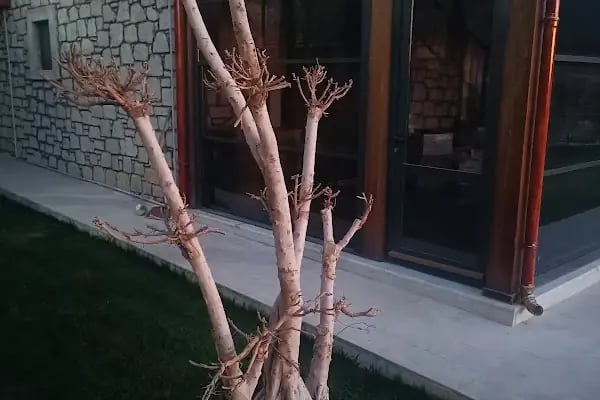 Horozgediği Lojistik - Resim 4