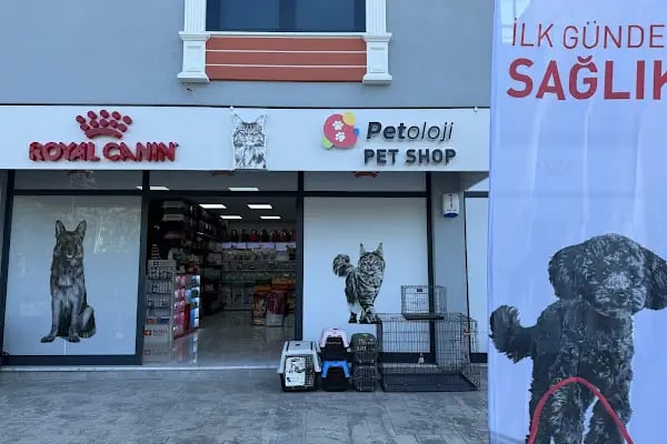 Petshop Petoloji Derince - Resim 1