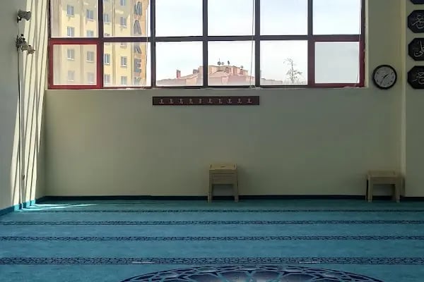 Yarı Olimpik Kapalı Yüzme Havuzu - Resim 4