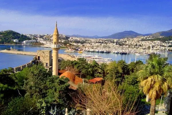 Bodrum Belediye Başkanlığı - Resim 17