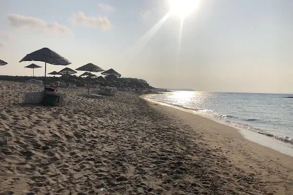 Serap Sitesi - Resim 19