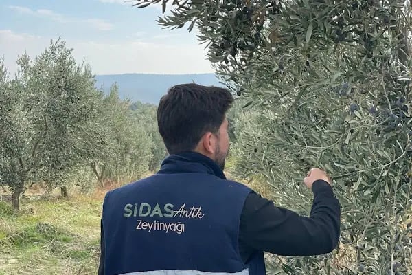 Sidas Antik Zeytinyağı - Resim 14