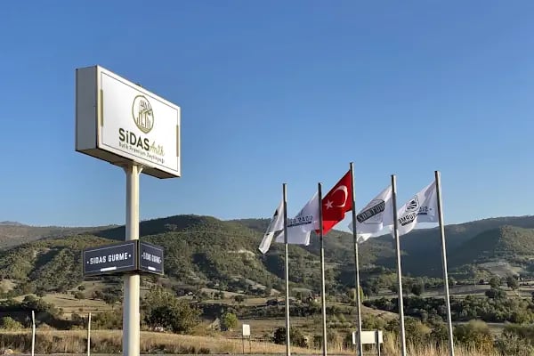 Sidas Antik Zeytinyağı - Resim 8