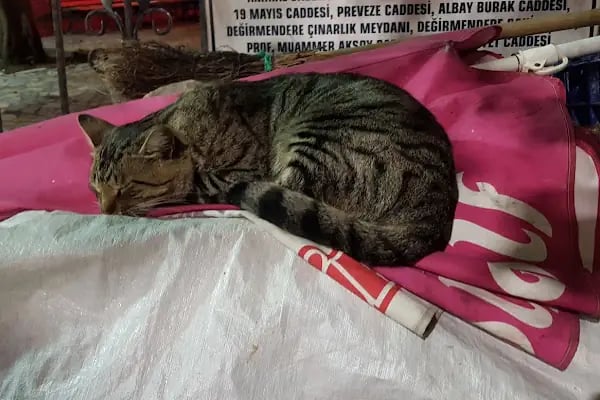 Mert Toys Oyuncak Mağazası - Resim 5