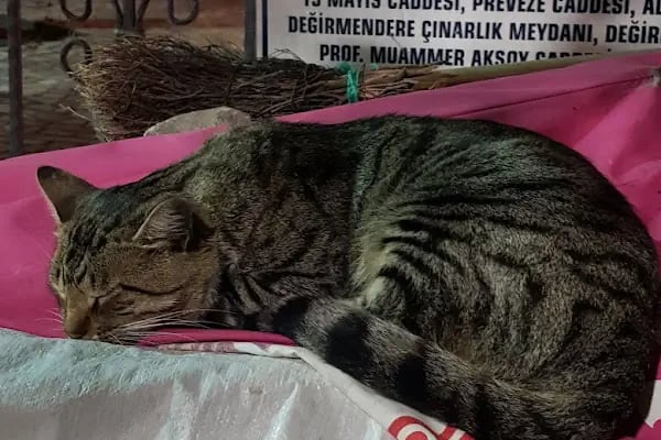 Mert Toys Oyuncak Mağazası - Resim 11