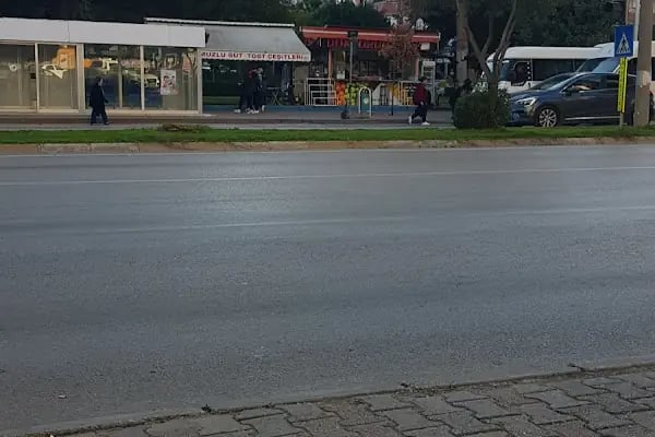 Altın Koza Parkı - Resim 11