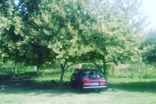 Gümüş Palas Otel - Resim 2