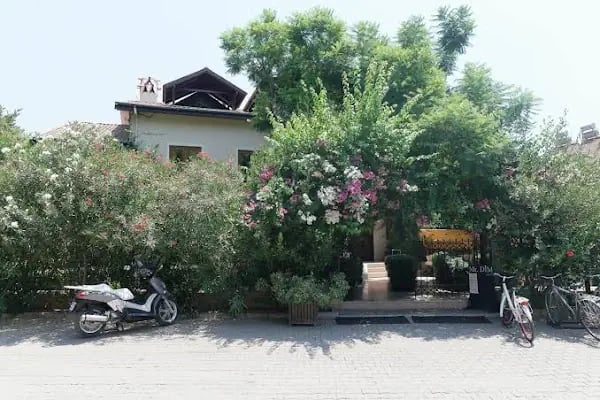 Mr. Dim Exclusive Apart Hotel - Göcek - Resim 9