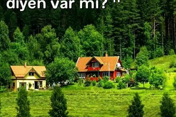 Akdeniz Stil Oyuncak - Resim 7