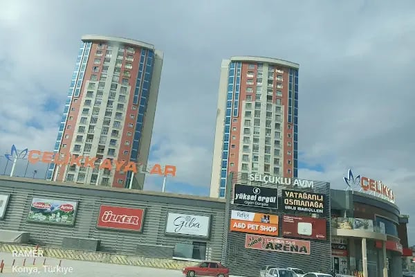 Selçuklu Konutları - Resim 5