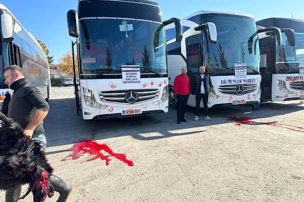 NUSAYBİN OTOGAR - Resim 20