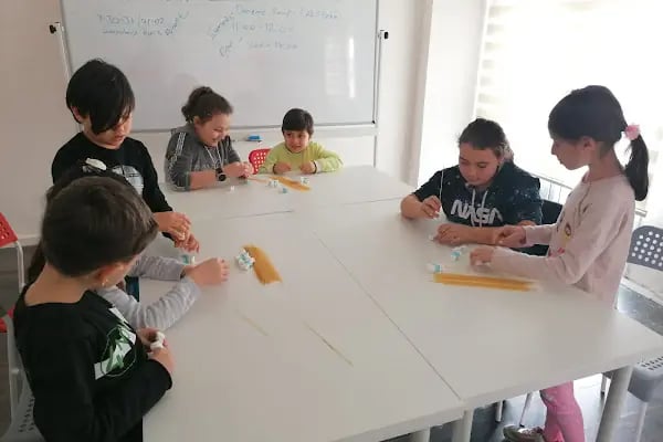Yaşam boyu eğitim danışmanlık - Resim 13