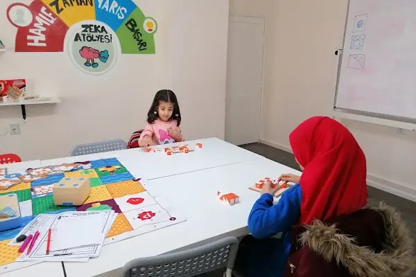 Yaşam boyu eğitim danışmanlık - Resim 18