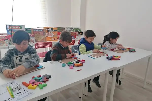 Yaşam boyu eğitim danışmanlık - Resim 7