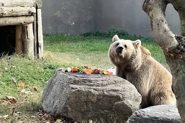 Faruk Yalçın Hayvanat Bahçesi ve Botanik Parkı - Resim 18