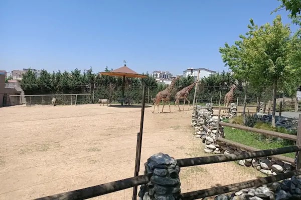 Faruk Yalçın Hayvanat Bahçesi ve Botanik Parkı - Resim 14