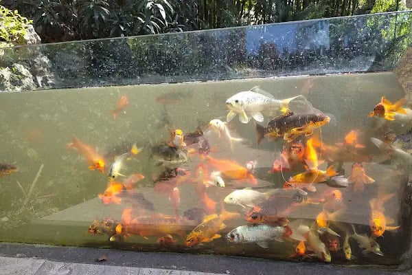 Faruk Yalçın Hayvanat Bahçesi ve Botanik Parkı - Resim 15