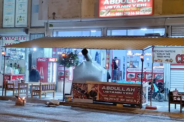 ABDULLAH USTANIN YERİ CEYLANPINAR - Resim 2