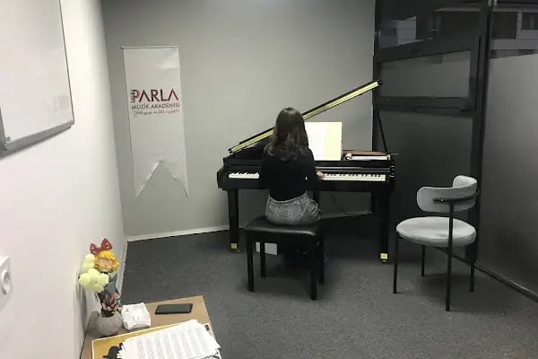 Özel Parla Müzik Akademisi - Resim 4