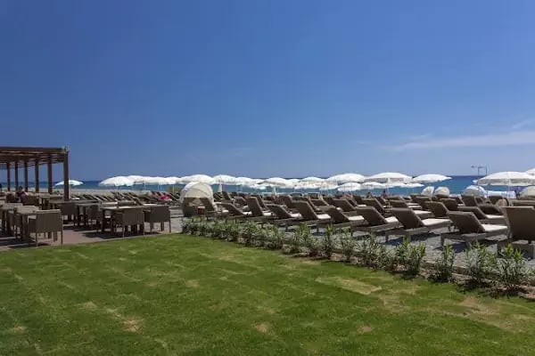 Michell Hotel - Resim 7
