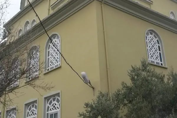Ümmühan Hatun Cami - Resim 4