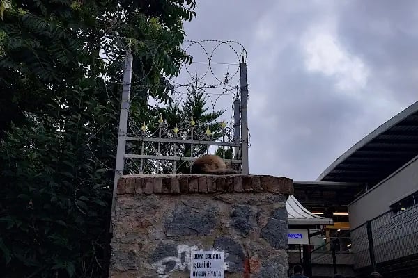 Göztepe Tren İstasyonu - Resim 15