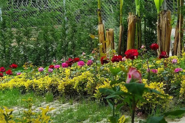 Kadifeli Konak Bungalov - Resim 20