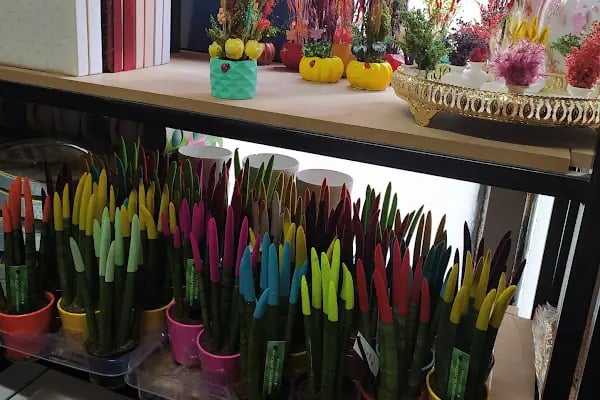 Karagül çiçek evi &amp; Şanlıurfa çiçek siparişi - Resim 4
